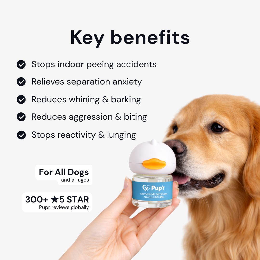 Calming Dog Diffuser