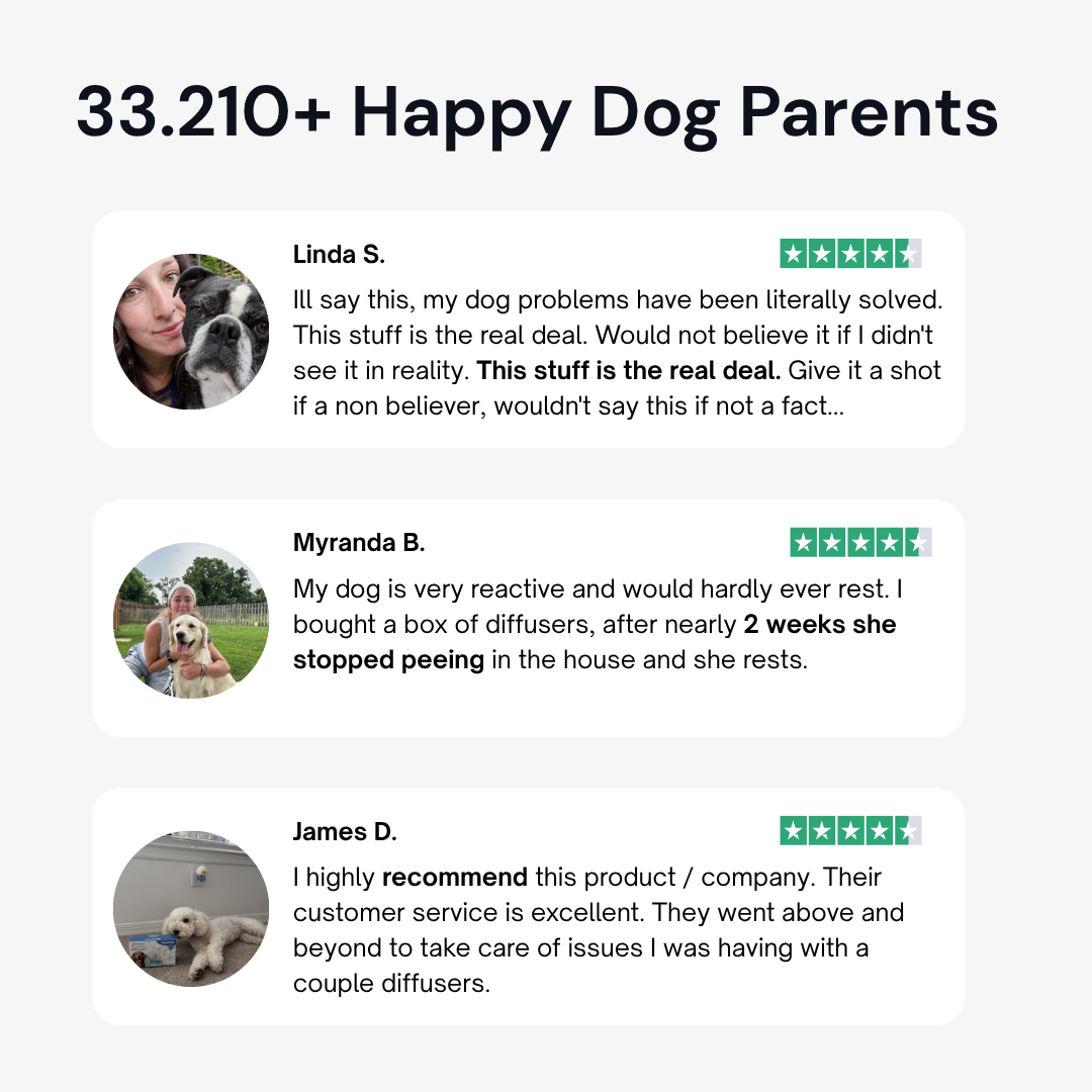 Calming Dog Diffuser