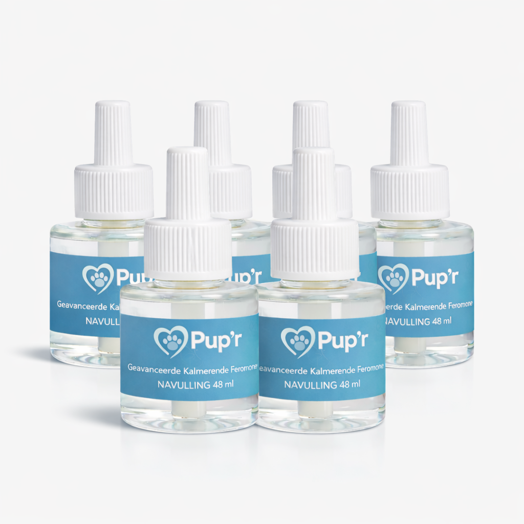 Dog Diffuser Refill (6pc)